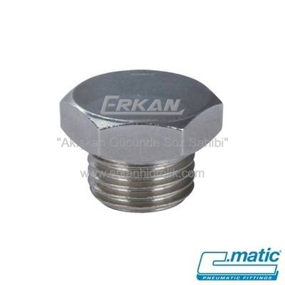 Nikel Kaplı Pirinç Kör Tapa Anahtar Başlı (RA19) - 1
