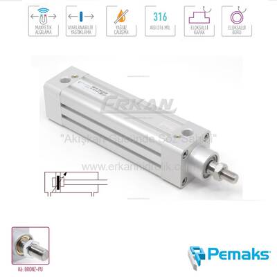 Pemaks - ISP-M Serisi Manyetik ve Yastıklamalı Pnömatik Silindir (Ø32...Ø125) (ISO 15552) - 1