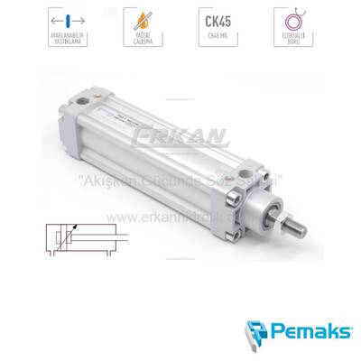 PAG-Y Serisi Yastıklamalı Pnömatik Silindir (Ø32...Ø100) (CETOP RP 43P) - 1