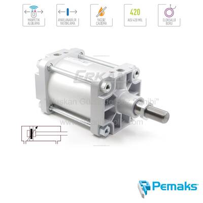 Pemaks - PMC-YA Serisi Manyetik ve Yastıklamalı Pnömatik Silindir - CETOP RP 53P - 1
