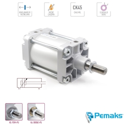 PEMAKS - Pemaks - PNS-Y Ağır Seri Yastıklamalı Pnömatik Silindir (Ø125...Ø320) (CETOP RP 53P)