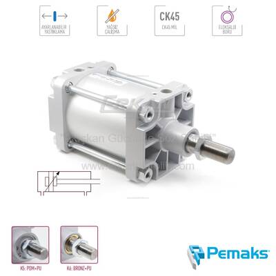 Pemaks - PNS-Y Ağır Seri Yastıklamalı Pnömatik Silindir (Ø125...Ø320) (CETOP RP 53P) - 1