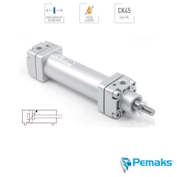 PEMAKS - Pemaks - PNS-Y Serisi Yastıklamalı Pnömatik Silindir (Ø32...Ø100) (CETOP RP 43P)