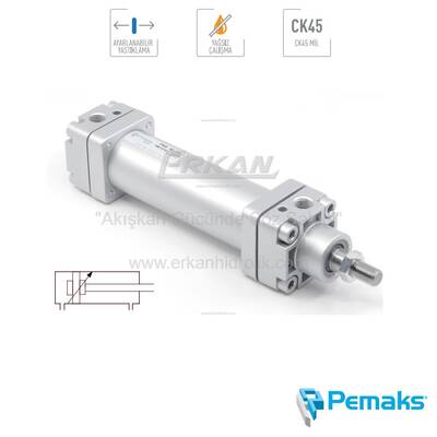 Pemaks - PNS-Y Serisi Yastıklamalı Pnömatik Silindir (Ø32...Ø100) (CETOP RP 43P) - 1